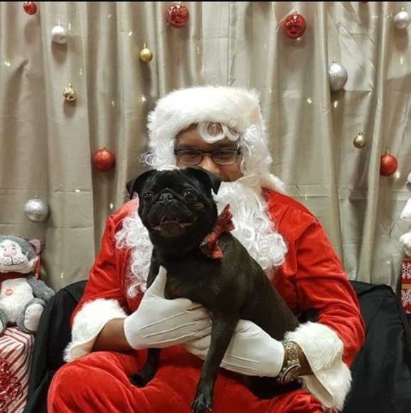 Meet your Posher, Dylan - Picture 1 of 1